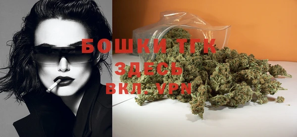 гашик Белокуриха